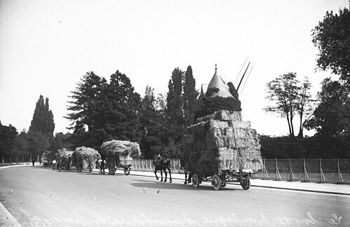 1914 - Bataille de la Marne