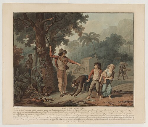 1788 - Bernardin de Saint-Pierre - Paul et Virginie