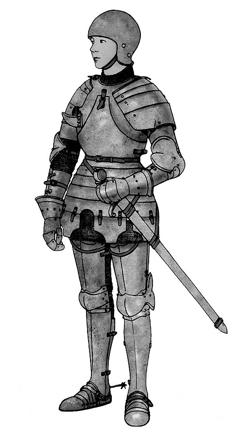 1429 - Jeanne d'Arc délivre Orléans